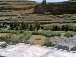 21062007(003)_edited.jpg