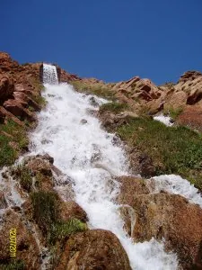 ALIM1193.JPG