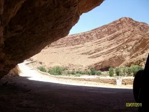 ALIM1217.JPG