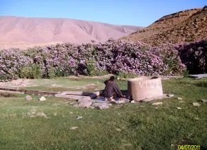 ALIM1223.JPG
