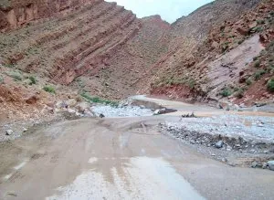 ALIM0559.JPG