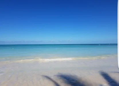 20190212_085953.png