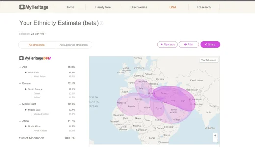 admix ethnicity myheritage.JPG