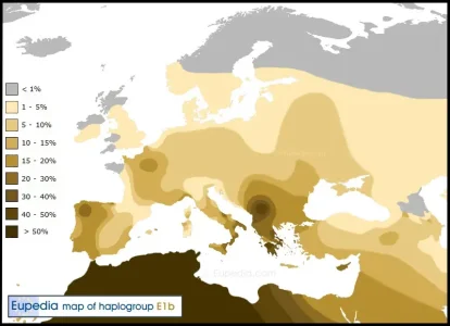 Haplogroup-E1b1b.jpg
