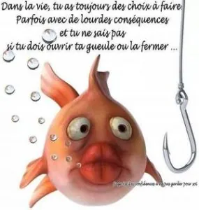 téléchargement (1).jpeg