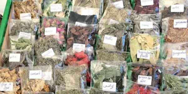 plantes-aromatiques-medicinales-044.jpg