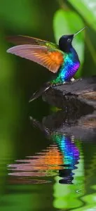 d7b88d366790c0e832b4c43ab17d44ee.jpg