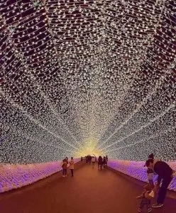 52643740_941480812727754_6913858617309396992_n.jpg