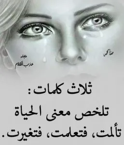 FB_IMG_1552777069598.jpg