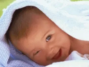 bv000054.gif