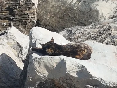 20190310_104034.jpg