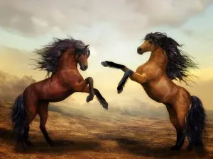 animaux1.jpg