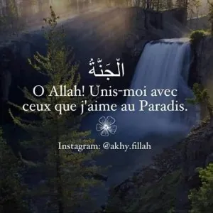 rappeles.jpg