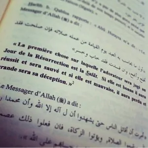 rappeles3.jpg
