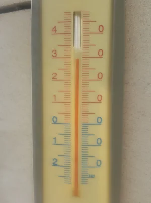 20190422_110009.jpg
