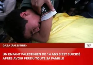 palestine.jpg