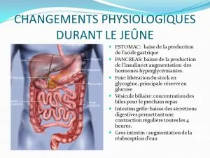 changements_physiologiques_durant_le_jeune_slideplayer.fr_.jpg