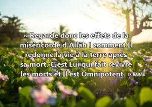 la vie.png