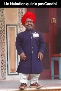naindien.jpeg