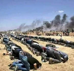 gaza1.jpg