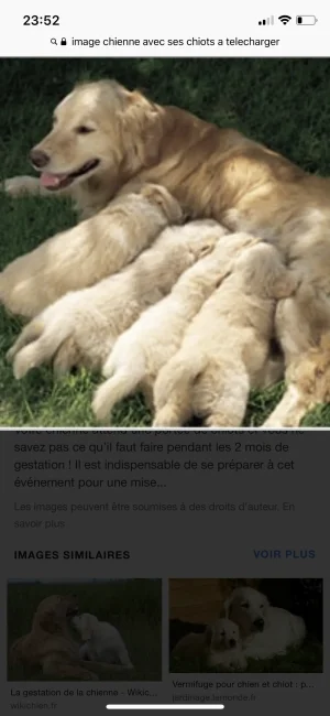 DB6DF17B-5313-416D-8944-82A82B0D0B71.png