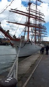 IMG-20190608-WA0006.jpeg