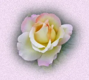 rose01.jpg