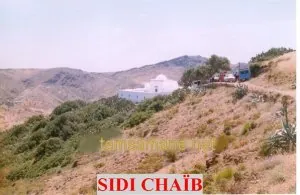 sidi.jpg
