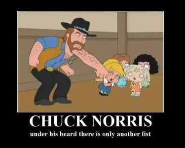 chuck-norris-fist.jpg