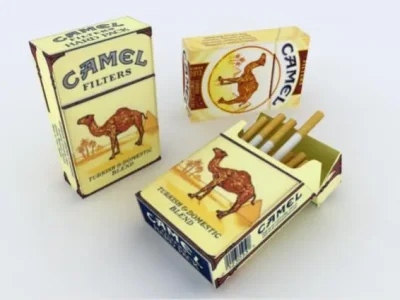 camel.jpg
