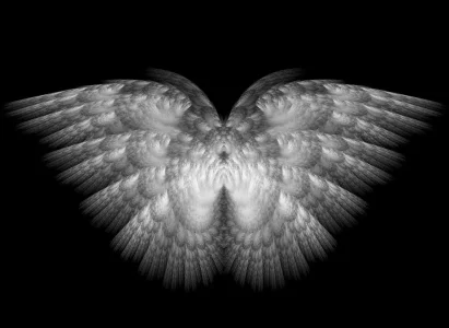 Paired_White_Wings_by_Shadoweddancer.jpg