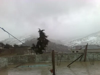 jibal.jpg