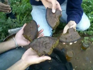 2779495660_1.jpg