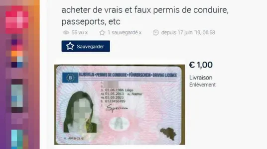 7177332.jpg