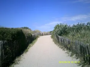 DSCF0085.JPG