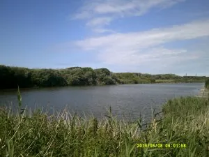 DSCF0095.JPG