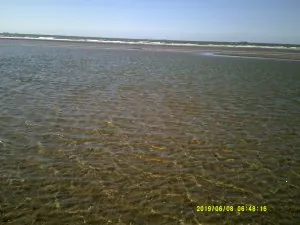 DSCF0114.JPG