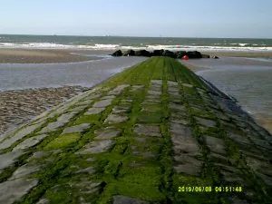 DSCF0115.JPG