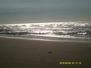 DSCF0124.JPG