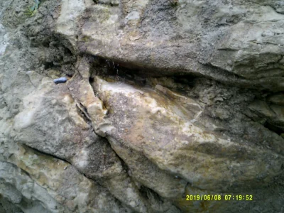 DSCF0279.JPG