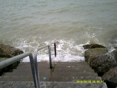 DSCF0301 (1).JPG