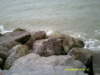 DSCF0303 (1).JPG