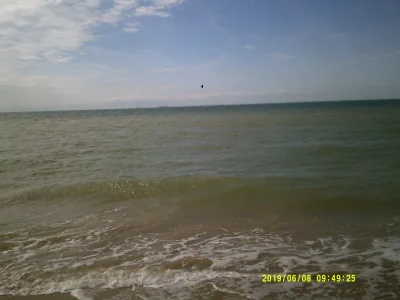 DSCF0307.JPG