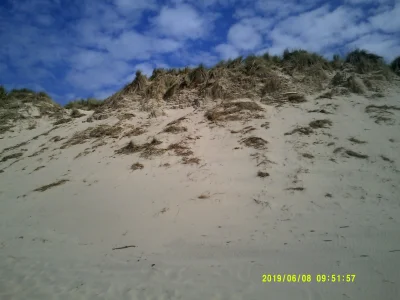DSCF0310.JPG