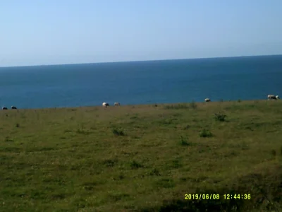 DSCF0332.JPG