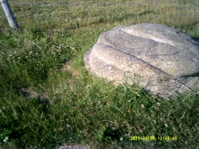 DSCF0337 (1).JPG
