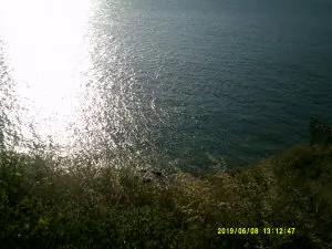 DSCF0354.JPG