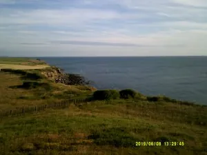 DSCF0366 (1).JPG