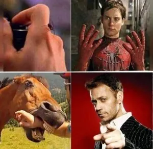 thumbs.jpeg