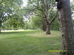 DSCF0390.JPG
